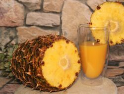 Catat! Ini 6 Manfaat Buah Nanas untuk Kesehatan yang Wajib Diketahui