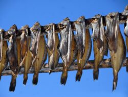 Ini 7 Manfaat Mengonsumsi Ikan Asin untuk Kesehatan Tubuh