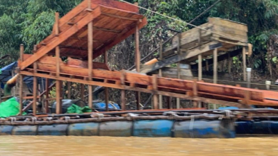 Pindahkan Hampir 400 Kg Emas Ilegal ke Tempat Aman AS Raja Emas Ilegal Baru Terendus Aparat