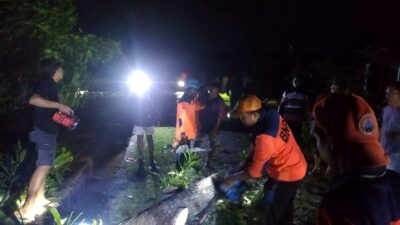 Bencana Hidrometeorologi Landa Sejumlah Wilayah Indonesia, BNPB Imbau Masyarakat Waspada