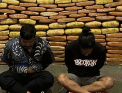 Polda Metro Jaya Gagalkan Penyelundupan 143 Kg Ganja Jaringan Sumatera Utara