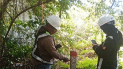 Kemenhut Awasi Perusahaan Tambang di Hutan Raja Ampat, Siapkan Tindakan Hukum