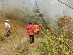 BNPB Catat Enam Bencana Terjadi Dalam 24 Jam, Termasuk Banjir dan Kebakaran Lahan