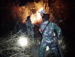 BNPB: Awal Agustus 2025 Diwarnai Bencana, Karhutla di Tarakan dan Banjir Landa Sumatera