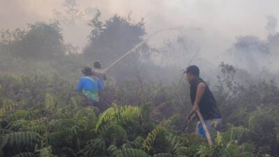Karhutla di Sanggau: 7 Hektare Lahan Gambut Dekat Jembatan Tayan Terbakar, Tim Gabungan Berjibaku Padamkan Api