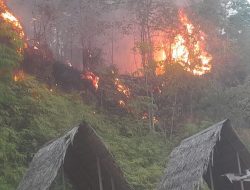 Indonesia Dikepung Bencana: Banjir di Sulawesi, Karhutla dan Angin Kencang Landa Sumatra