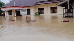 BNPB Update: Banjir dan Longsor Kepung Aceh hingga Sumut, Belasan Warga Meninggal