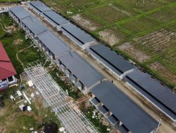 BNPB Percepat Pembangunan Huntara di Tiga Provinsi Sumatra