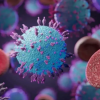 Pemerintah Kanada Gandeng WHO Tangani Kasus Wabah Hantavirus di Kapal Pesiar MV Hondius