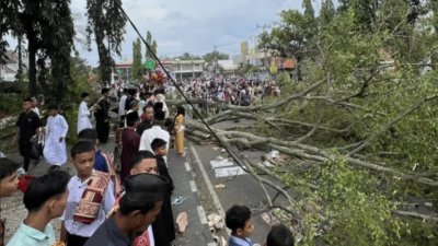 Pohon Beringin Tumbang di Masjid Agung Pemalang, Tiga Tewas dan 16 Luka-luka
