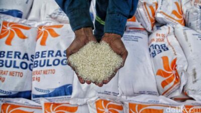 Lindungi Petani dari Anjloknya Harga, Cadangan Beras Pemerintah Ditambah Jadi 4 Juta Ton