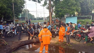 BNPB: Satu Warga Meninggal Tertimpa Pohon, Kejadian Banjir dan Angin Kencang Dominasi Pulau Jawa