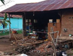 Gempa Flores Timur Magnitudo 4,7: Lima Warga Luka Berat, Ratusan Jiwa Terdampak