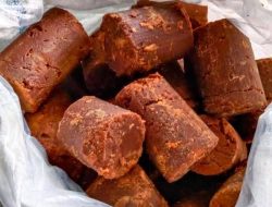 Perbandingan Nutrisi Gula Aren dan Gula Jawa sebagai Alternatif Pemanis Sehat